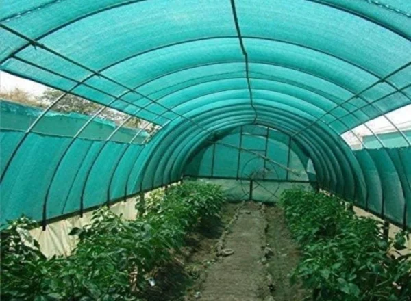 GREEN NET - Image 4