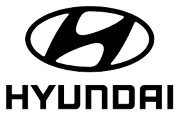 HYUNDAI 100% WATERPROOF CAR COVER