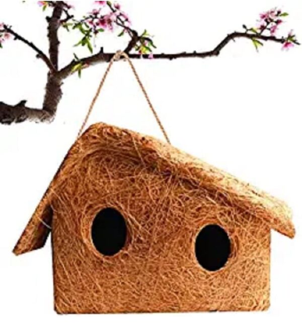 BIRD'S HOUSE' - Image 4