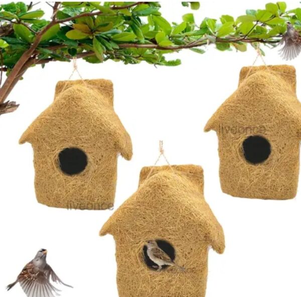 BIRD'S HOME' - Image 4