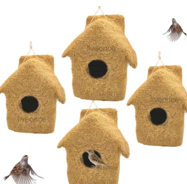 BIRD'S HOME' - Image 2