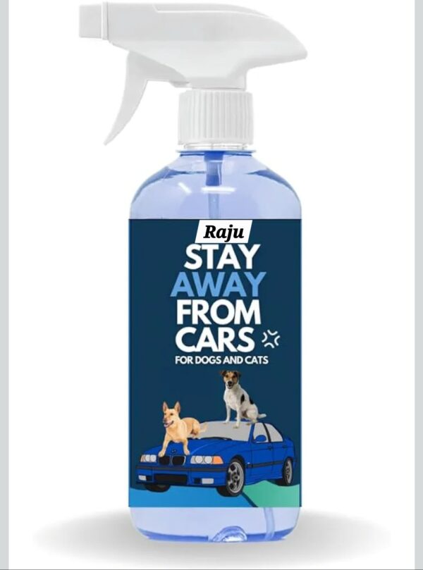 CAR PROTECT SPRAY - Image 2