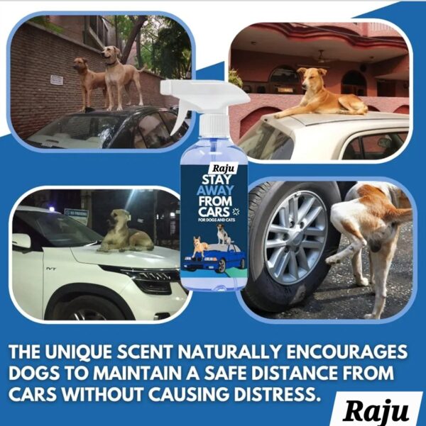 CAR PROTECT SPRAY - Image 3