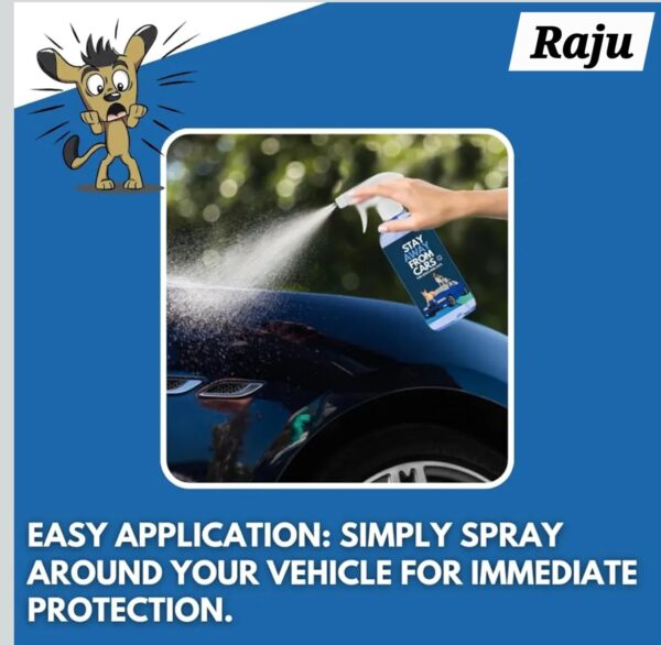 CAR PROTECT SPRAY - Image 4